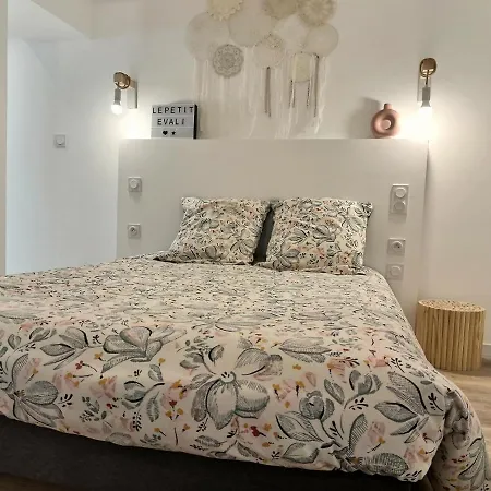 Le Petit Evali - Wifi - Centre Albi