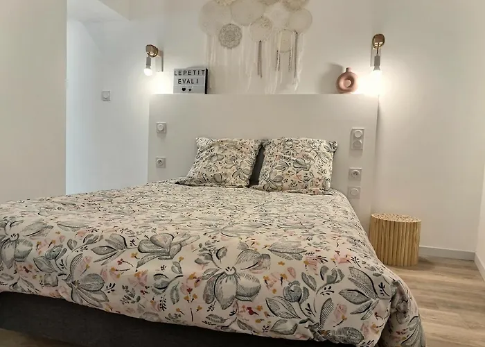 Le Petit Evali - Wifi - Centre אלבי